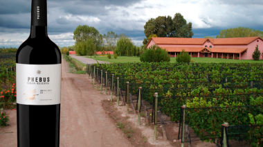 Orgullo argentino: un Malbec mendocino fue elegido el mejor del mundo en Londres