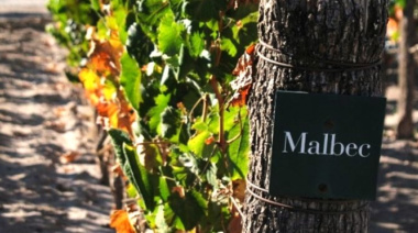 El Futuro del Vino Argentino celebrará su tercera edición en Mendoza con una agenda notable de invitados