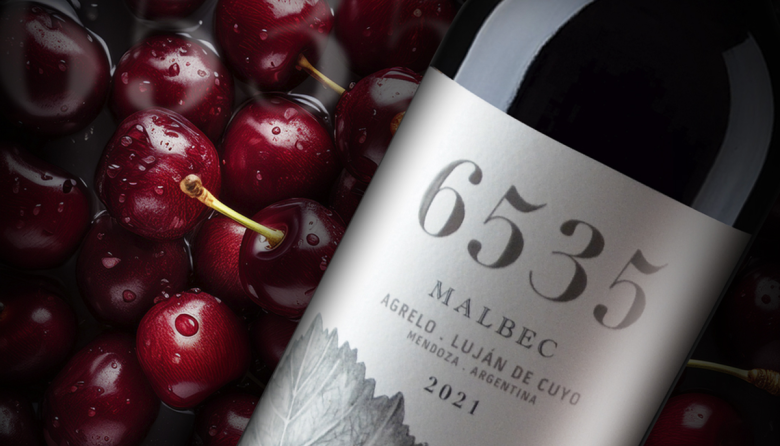 Hospitalidad, naturaleza, vistas única al Cordón del Plata y excelentes vinos: La invitación de Bodega 6535, en el corazón de Agrelo