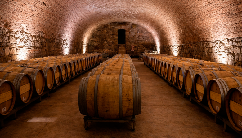 Godoy Cruz refuerza el empleo y el turismo con nuevas capacitaciones gratuitas