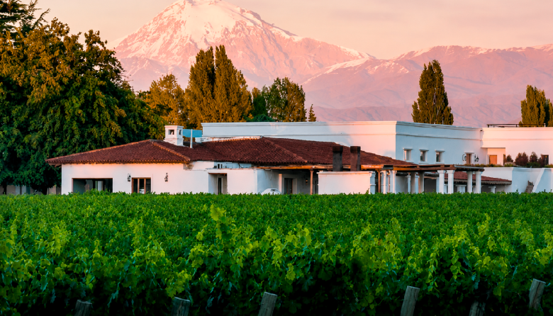 Molinos Río de la Plata compró Bodegas Etchart y amplía el portfolio de sus vinos argentinos