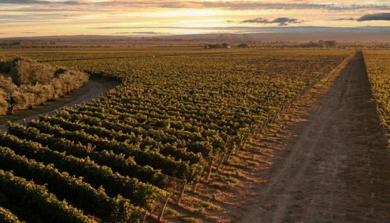 Irrigación extiende la prohibición de nuevos pozos en Agrelo y Ugarteche para proteger el acuífero