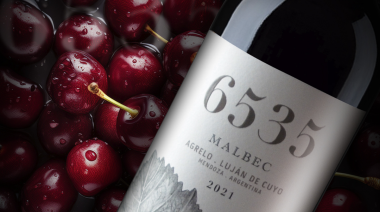 Hospitalidad, naturaleza, vistas única al Cordón del Plata y excelentes vinos: La invitación de Bodega 6535, en el corazón de Agrelo