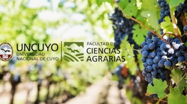 Enoturismo e innovación: la UNCuyo lanza una nueva Diplomatura para potenciar la gestión del sector