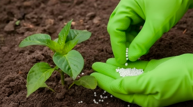 Pampa Energía impulsa una inversión de USD 1.500 millones para producir urea en Bahía Blanca