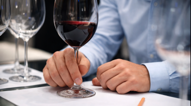 “Diplomacia del Vino”, el ciclo que propone un innovador encuentro entre política internacional y cultura vitivinícola