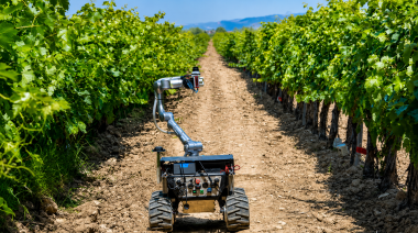 La vitivinicultura apuesta a la IA: Israel presentará una serie de soluciones tecnológicas para viñedos