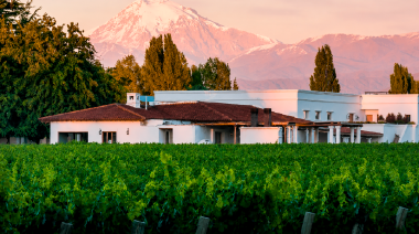 Molinos Río de la Plata compró Bodegas Etchart y amplía el portfolio de sus vinos argentinos
