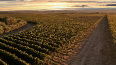 Irrigación extiende la prohibición de nuevos pozos en Agrelo y Ugarteche para proteger el acuífero