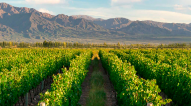 La sustentabilidad y el negocio del vino: Mendoza propone un foro clave para entender el nuevo escenario global