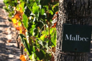 El Futuro del Vino Argentino celebrará su tercera edición en Mendoza con una agenda notable de invitados