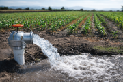 Agua subterránea bajo reglas más estrictas: Irrigación regulariza pozos y exige riego eficiente