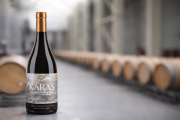 Del Valle de Ararat a la Patagonia: el Syrah celebra su día con identidad propia