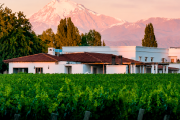 Molinos Río de la Plata compró Bodegas Etchart y amplía el portfolio de sus vinos argentinos