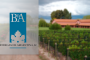 Bodegas de Argentina activa una agenda para bajar costos, facilitar exportaciones y mejorar la competitividad