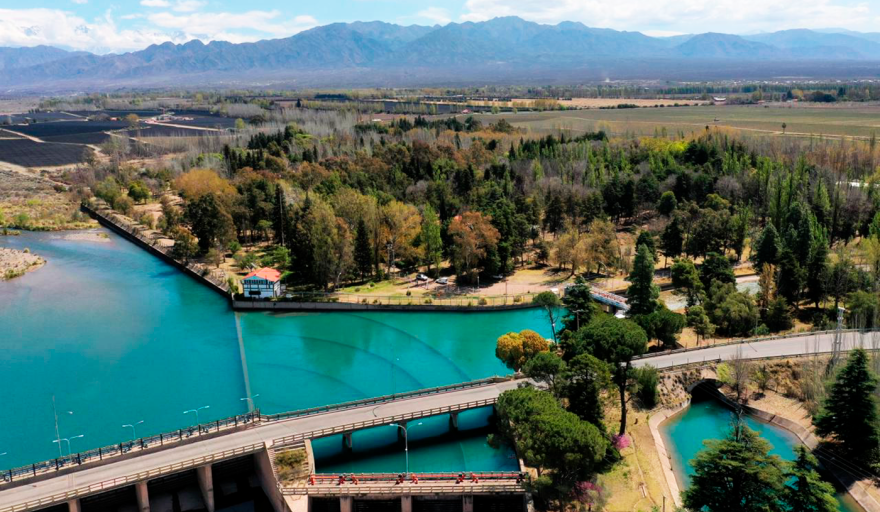 Irrigación inicia el relevamiento de su patrimonio forestal distribuido en los diques de Mendoza